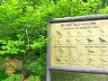 日本森林浴の森１００選館山野鳥の森は自然あふれる散策コース